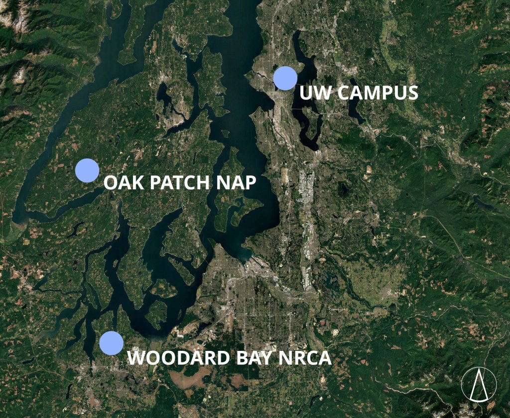 A satellite photo map of the Salish Sea and surrounding lands with three light blue dots labeled "UW CAMPUS", "OAK PATCH NAP"; and "WOODARD BAY NRCA". UW Campus is to the east of the Sound, while Oak Patch NAP is west of the Sound and Woodard Bay NRCA is to the southwest.
